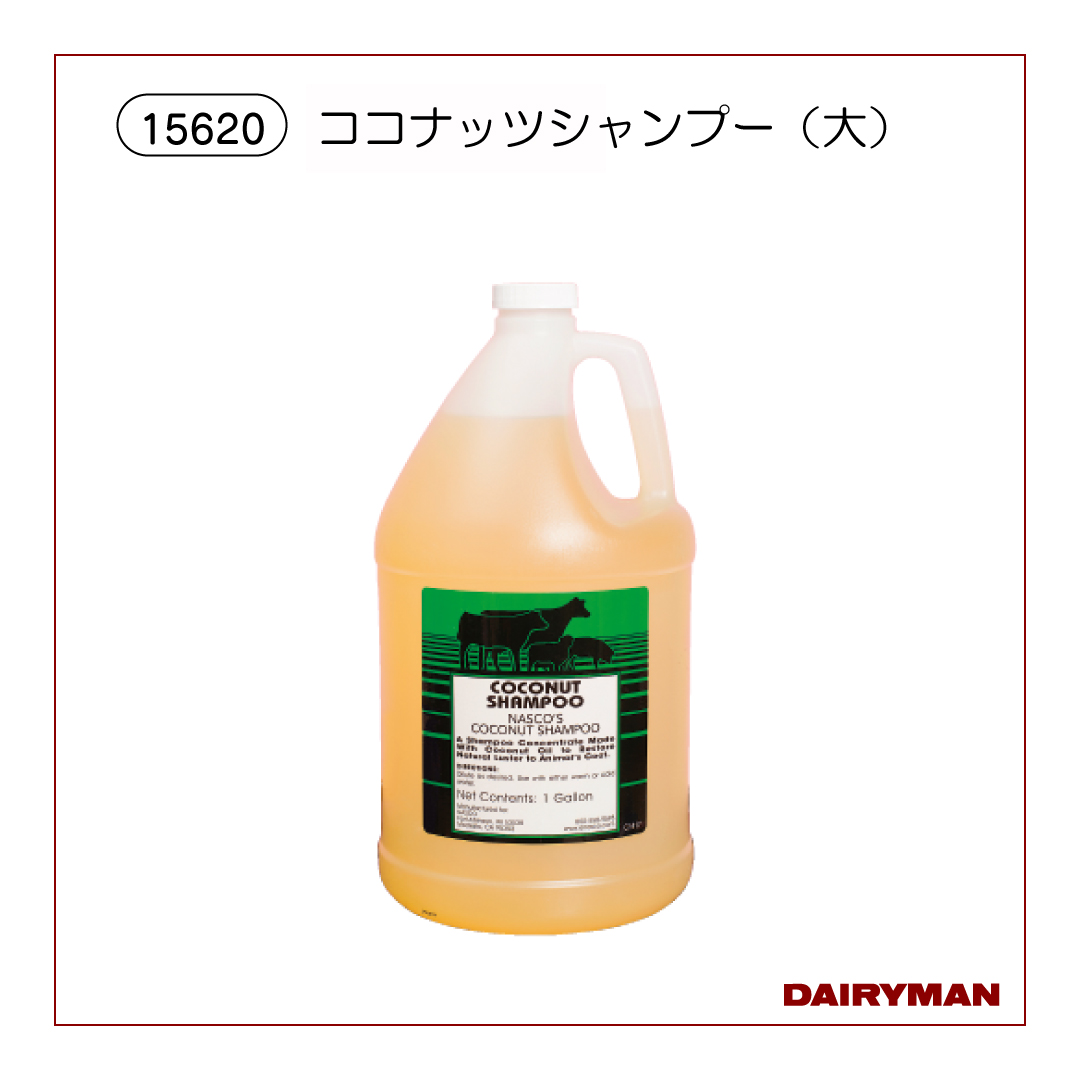 ココナッツシャンプー（大）